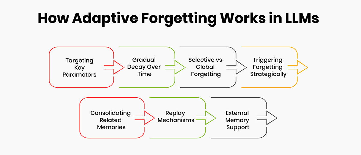 How Adaptive Forgetting Could Work in LLMs